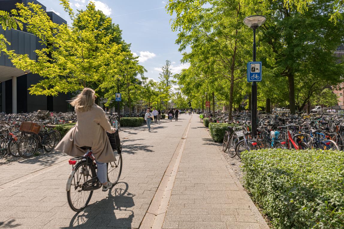 Hoe kun je de prestatiedruk in het onderwijs verlagen?  