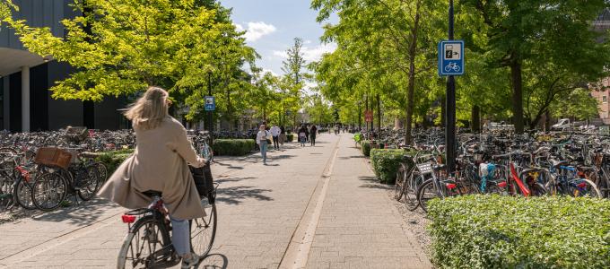 Hoe kun je de prestatiedruk in het onderwijs verlagen?  